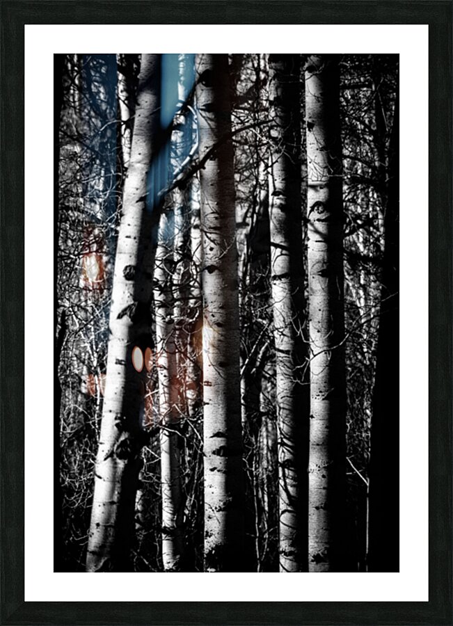 Aspens Sacred Lines Picture Frame print