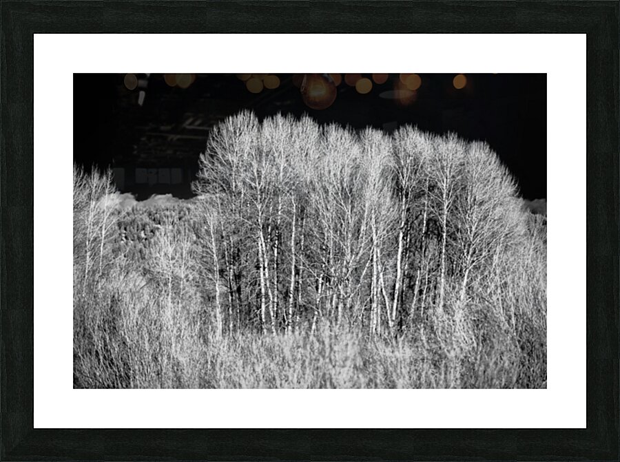 Winters Light Dancers Picture Frame print