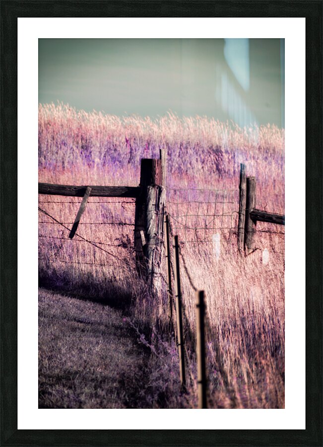 Purple Prairie Dreams   Wyoming Boundaries Picture Frame print