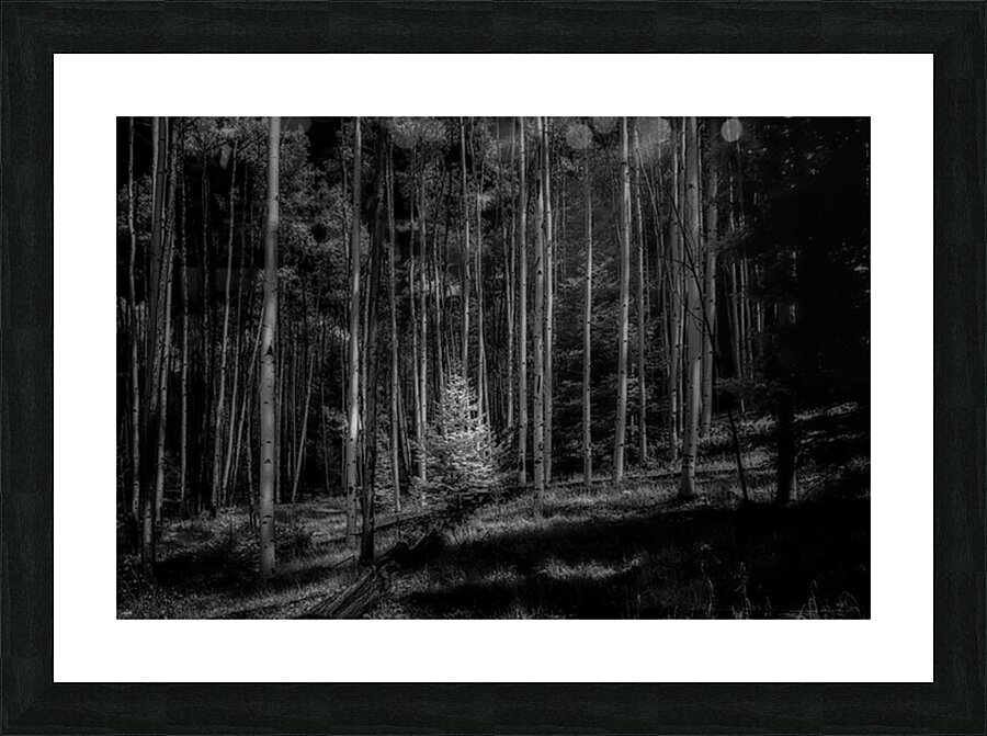 Infrared Luminescence on Artist Road Picture Frame print