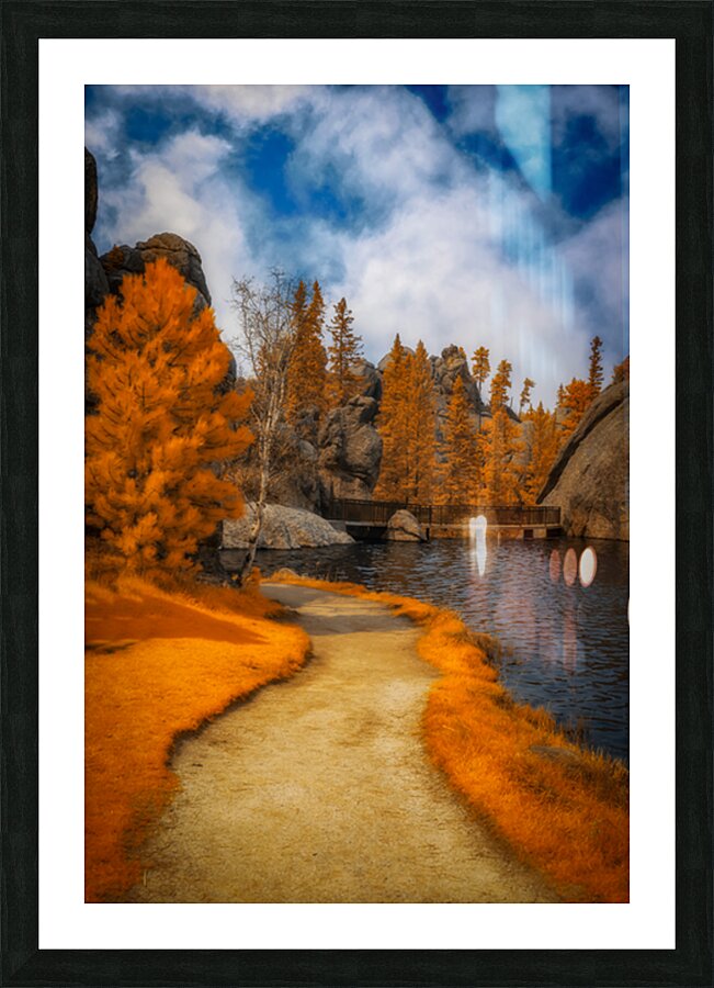 Autumnal Serenity: Sylvan Lake Path in Infrared Picture Frame print