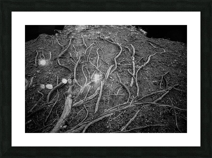 Veins of the Earth Picture Frame print