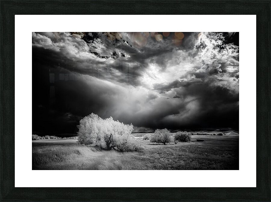 Divine Light   Wyoming Storm Theater Picture Frame print