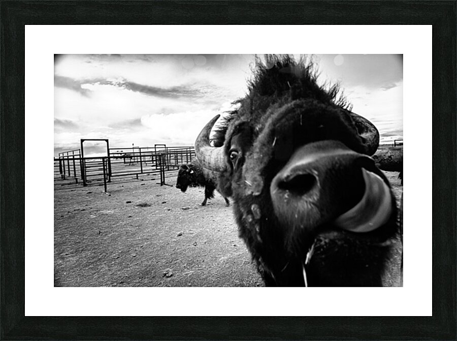 Hello! Picture Frame print