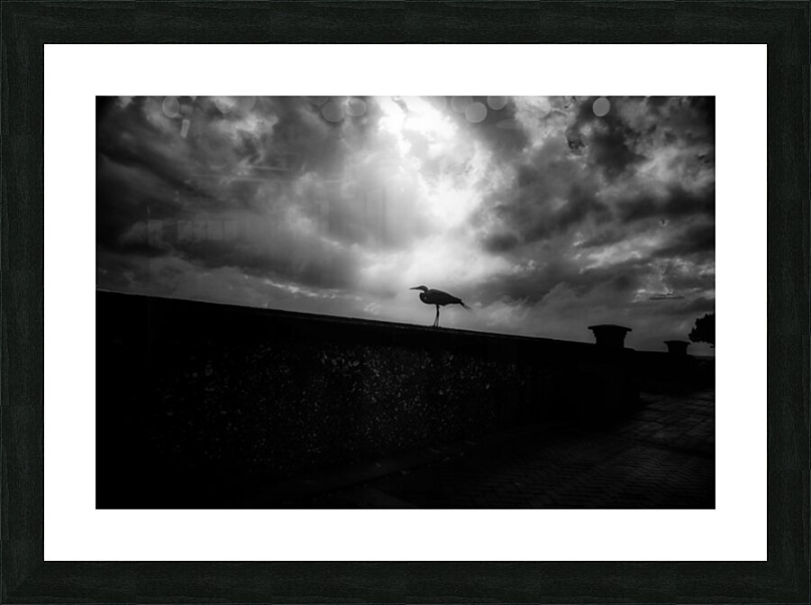 Rainy Day Stroll: Capturing Serenity with a Silhouetted Bird in  Picture Frame print