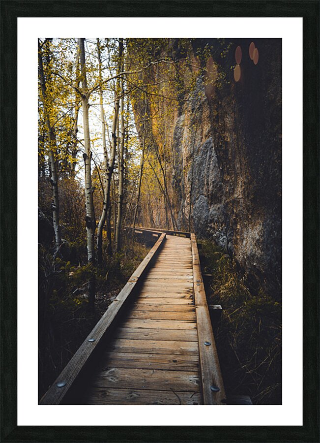 Wooden Trail Serenity: Capturing the Enchanting Rain Kissed Mome Picture Frame print