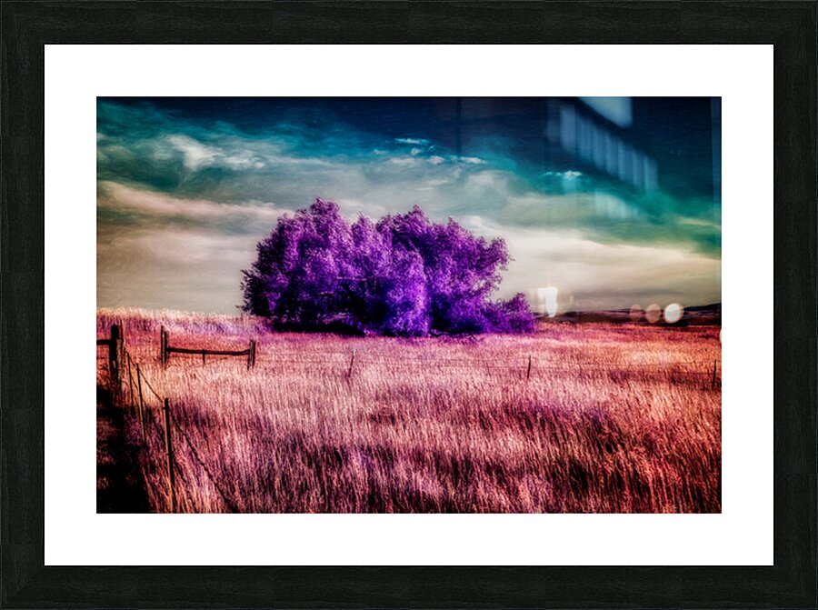 Amethyst Sanctuary Picture Frame print