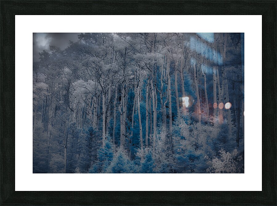 Ethereal Blue Amidst Monochrome Forest Picture Frame print
