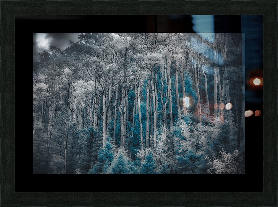 Ethereal Blue Amidst Monochrome Forest Picture Frame print
