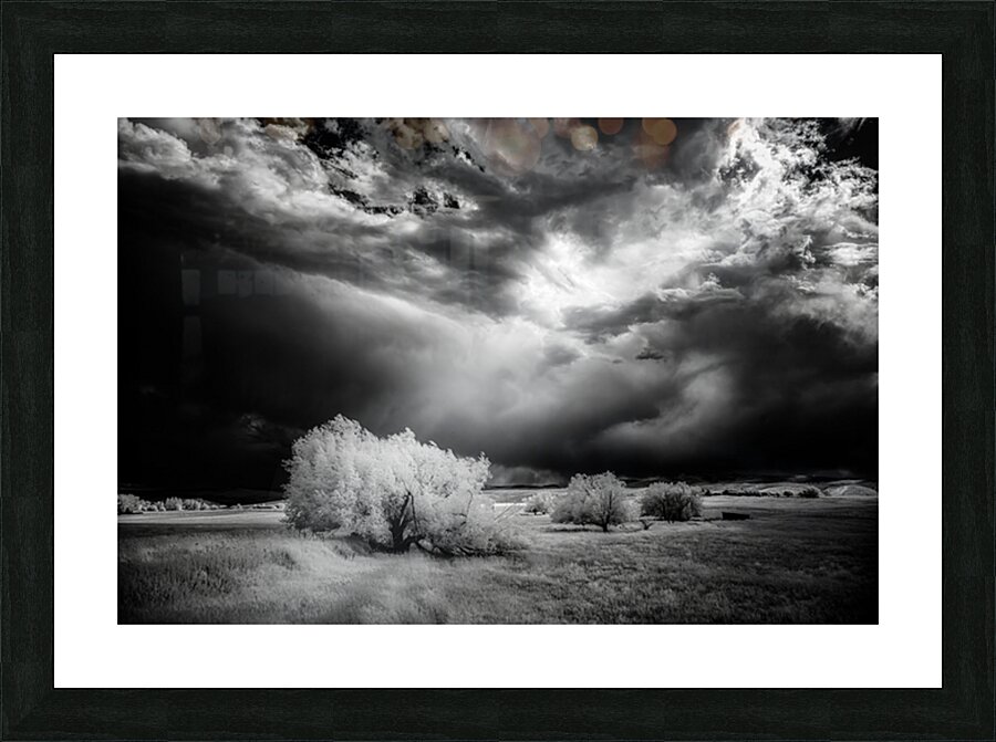 Divine Light   Wyoming Storm Theater Picture Frame print