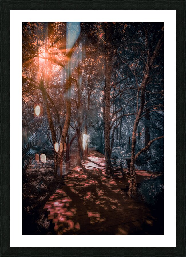 Where the Light Finds You Impression et Cadre photo