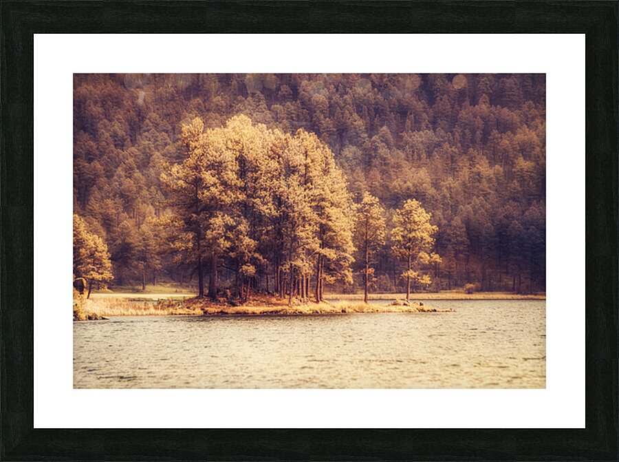 Stockade Lake Tree Island Hazy Impression et Cadre photo
