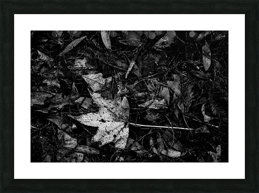 Relic in the Shadows Picture Frame print