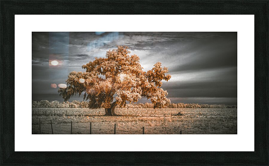 Guardian of the Bayou Country Picture Frame print