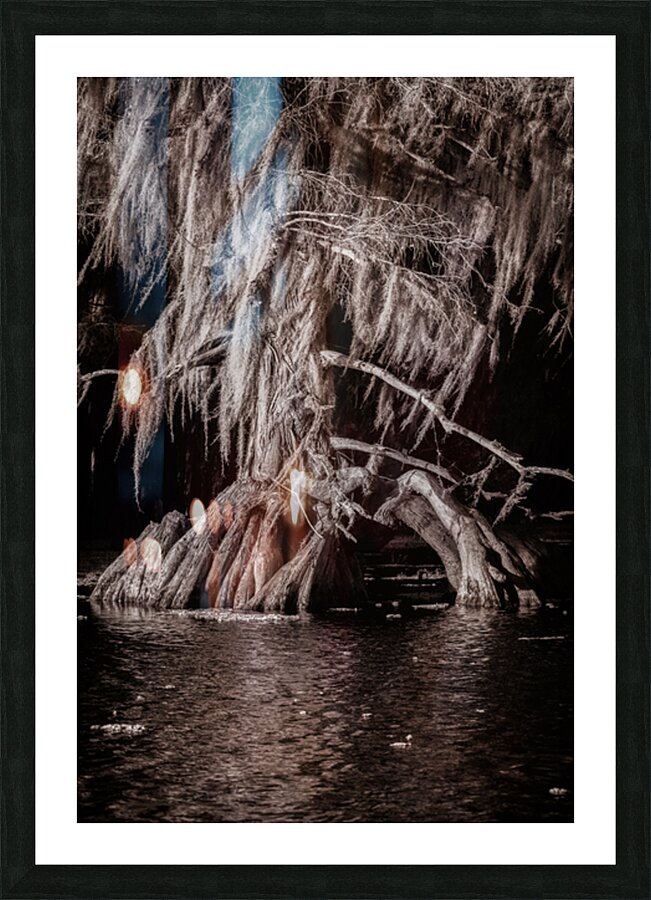 Sentinel of the Swamp Picture Frame print