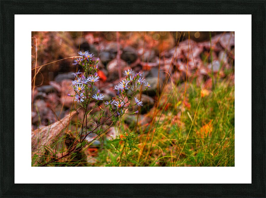 Autumns Last Dance Impression et Cadre photo