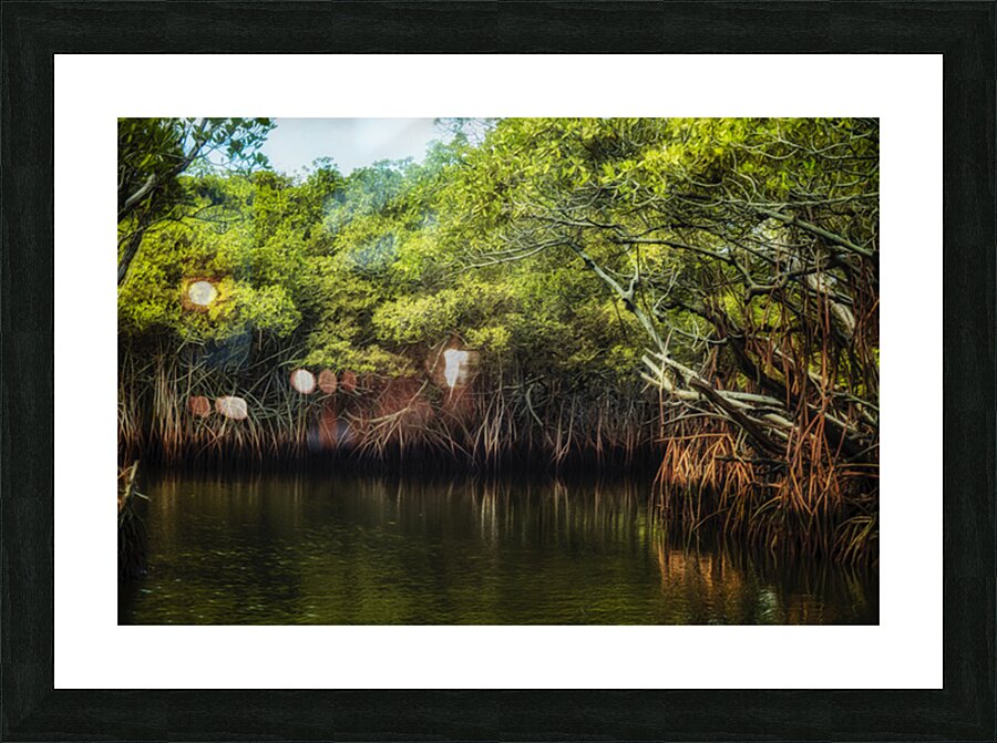 Where the Mangroves Whisper Picture Frame print
