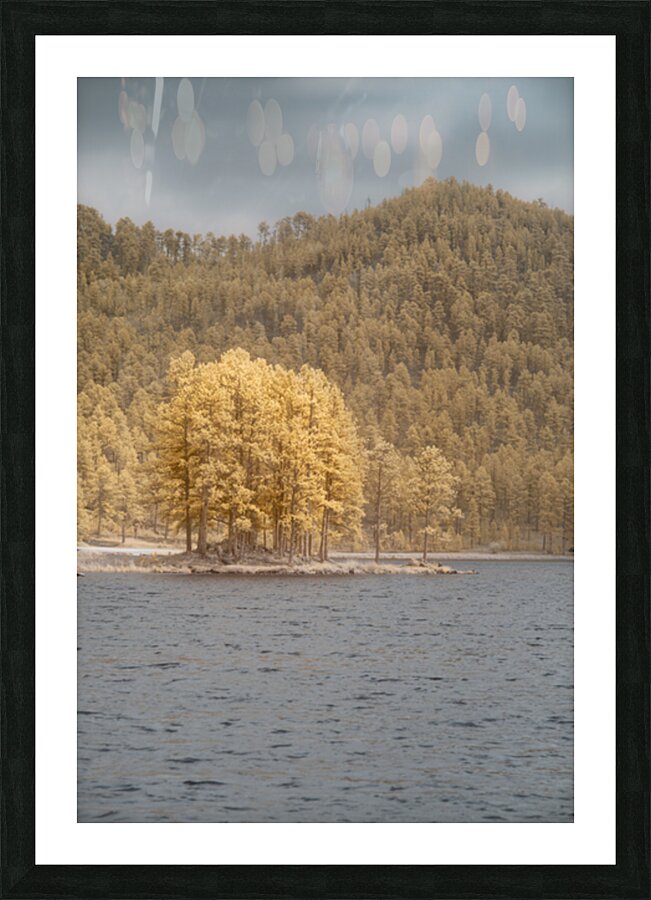 Stockade Lake Tree Island Picture Frame print