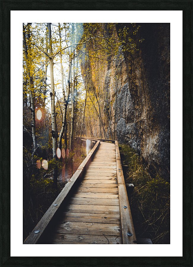 Wooden Trail Serenity: Capturing the Enchanting Rain-Kissed Moments at Sylvan Lake South Dakota  Framed Print Print