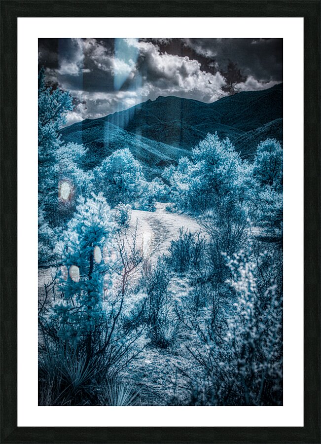 A Majestic Blue Mountain Journey in Colorado Springs Picture Frame print