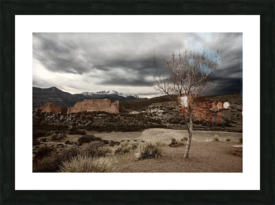 Lonely Mountain Tree  Framed Print Print