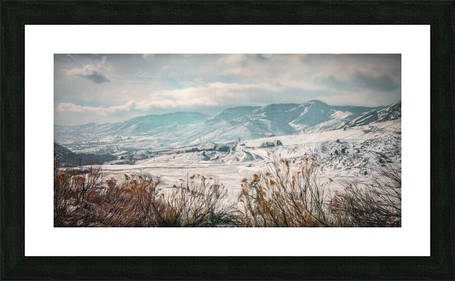 March Marvels: Exploring Dinosaur Ridge Picture Frame print