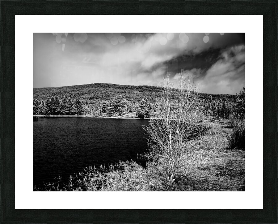 Majestic Tranquility: Sprague Lake Serenity Picture Frame print