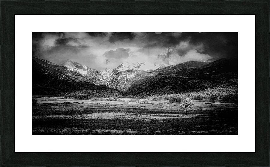 Mountains Embrace: Lone Valley Tree  Framed Print Print