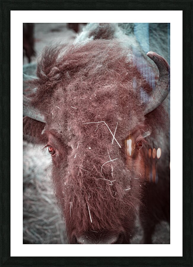 Unkempt Elegance Picture Frame print