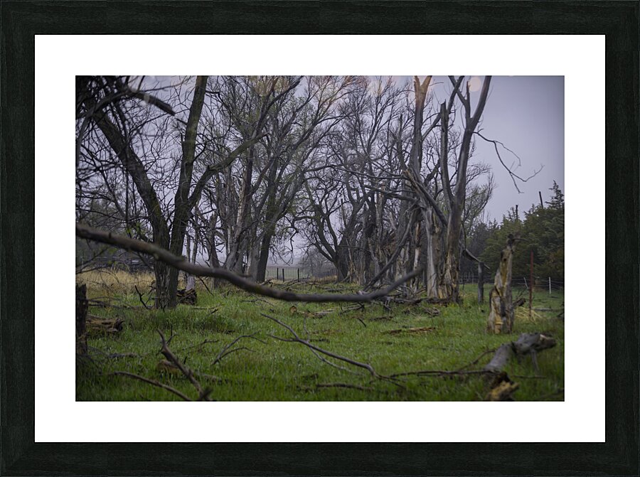 Nebraska Farm - 23 Picture Frame print