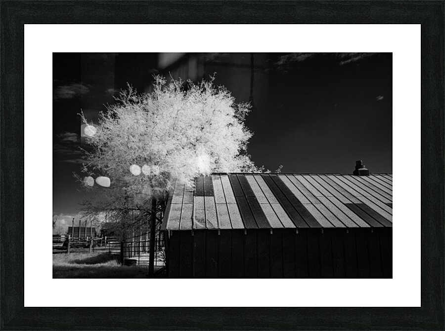 Nebraska Farm - 29 Picture Frame print