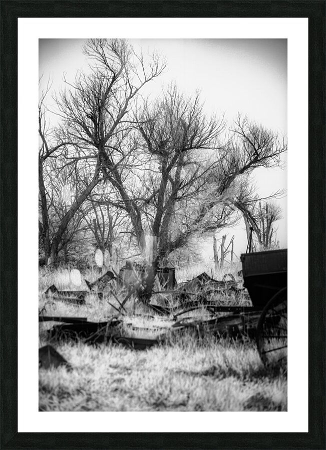 Nebraska Farm - 27 Picture Frame print