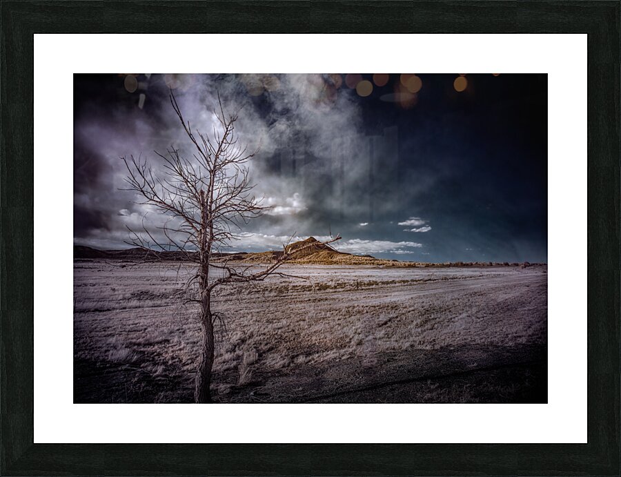Realm of the Unknown: Lone Tree Mount Picture Frame print
