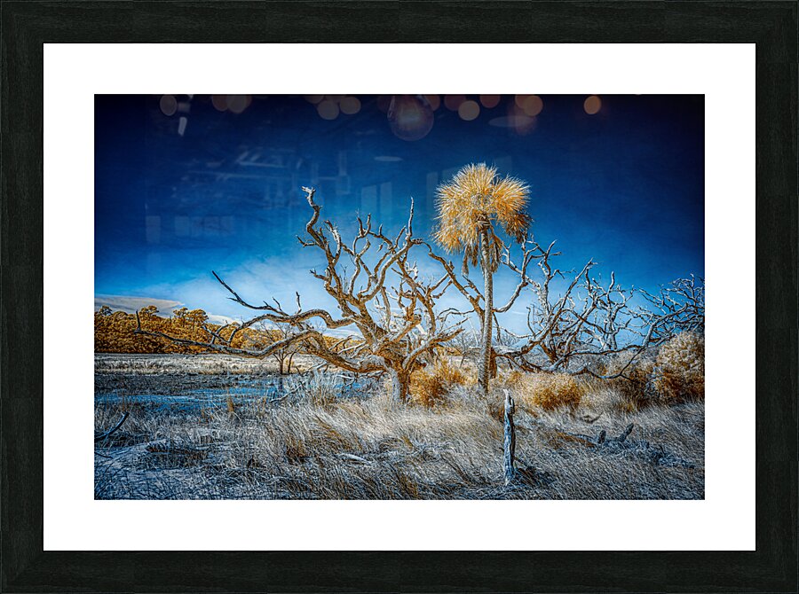 Isolated Serenity: Rows End  Framed Print Print