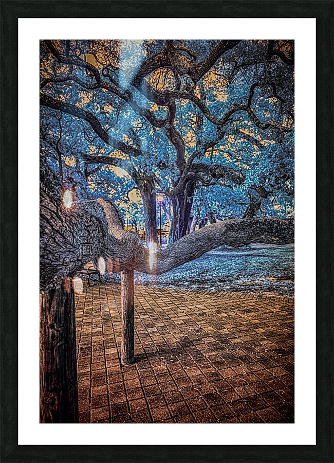 Support Picture Frame print