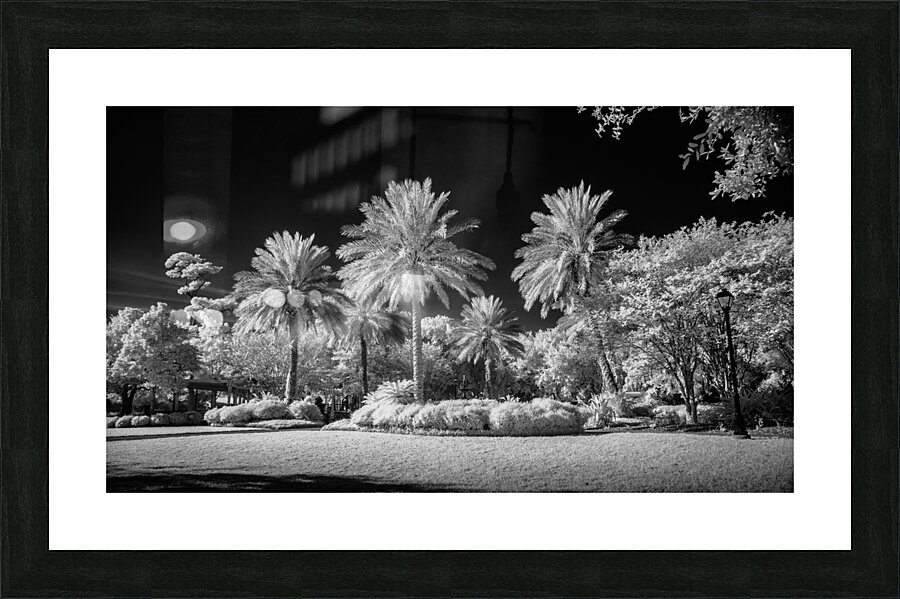 Saint Marys Park Impression et Cadre photo