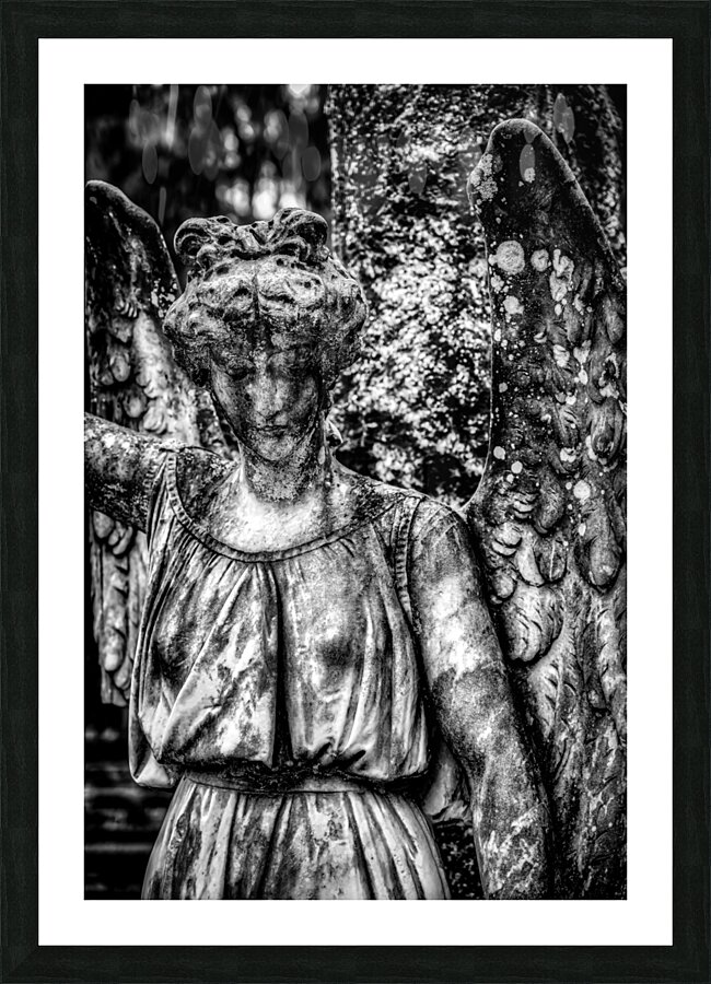 Silent Sorrow: Unveiling the Grieving Guardian at Oak Grove Cemetery Picture Frame print