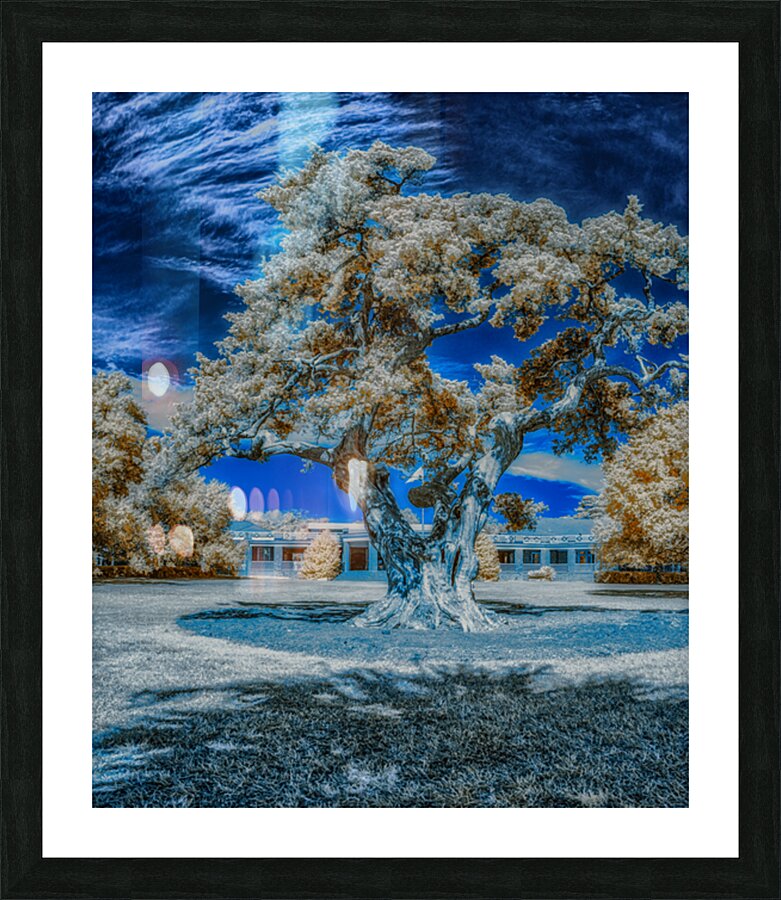 Casino Oak Picture Frame print