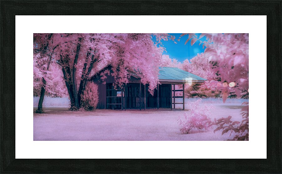 Infrared Delaware Barn  Framed Print Print