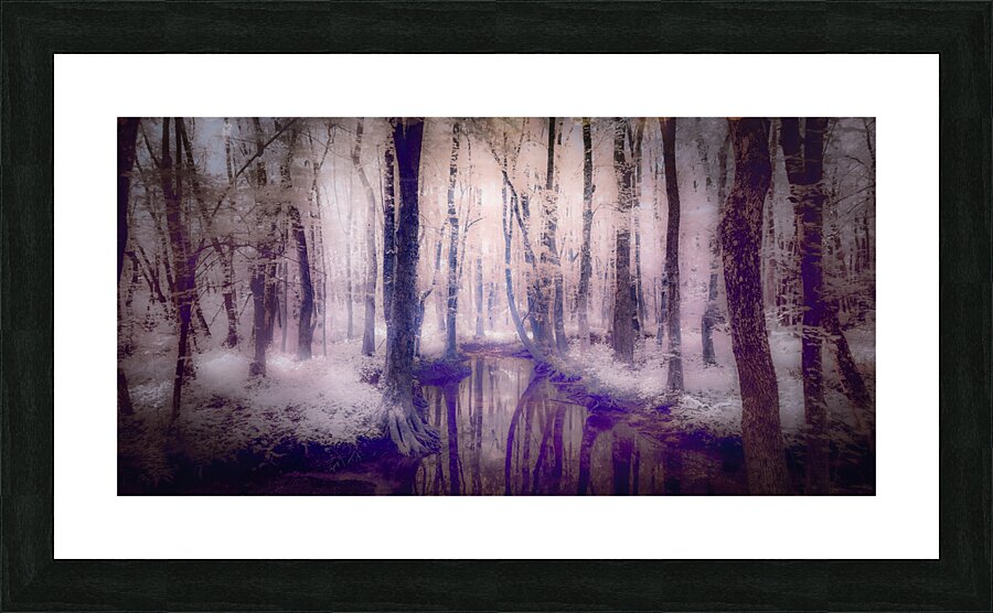 Swampland Picture Frame print