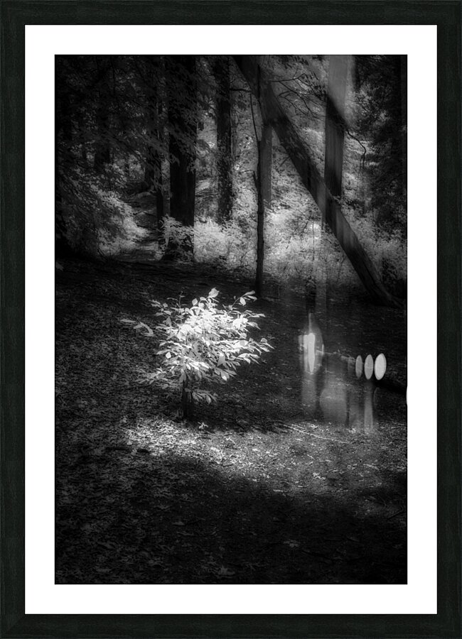 Lighted Picture Frame print