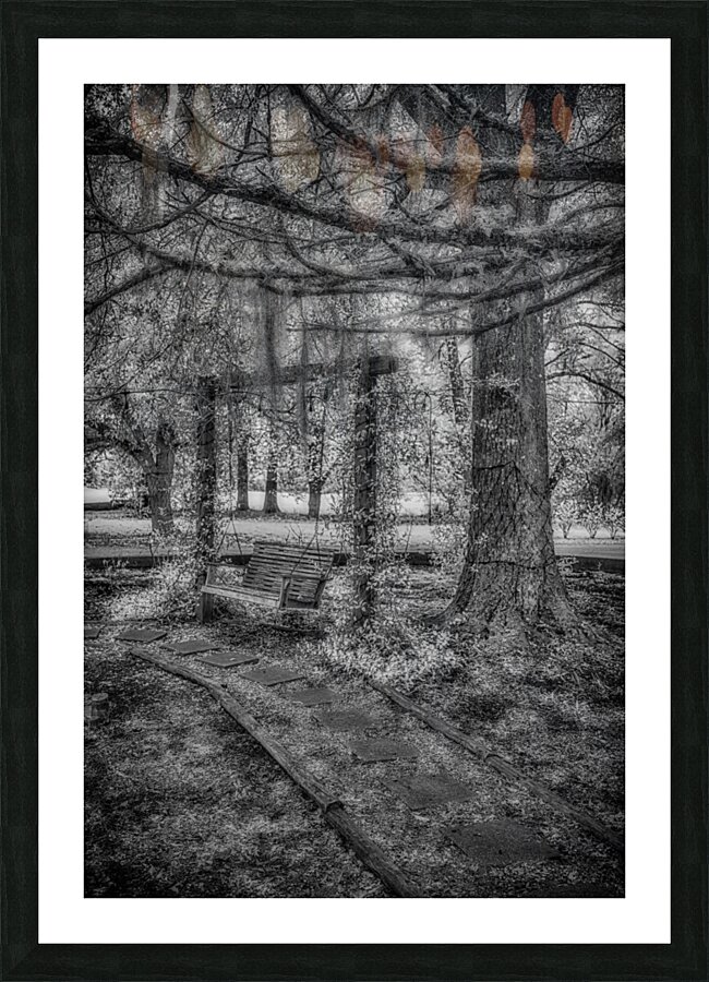Echoes of Time: The Forgotten Swing  Framed Print Print