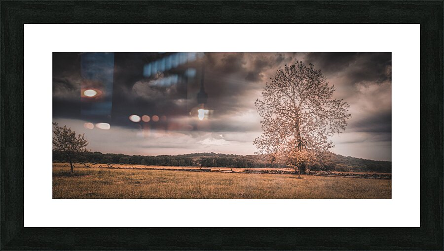 Lone Tree Storm  Framed Print Print