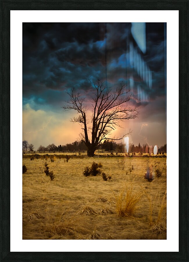 Stormy Solitude Picture Frame print