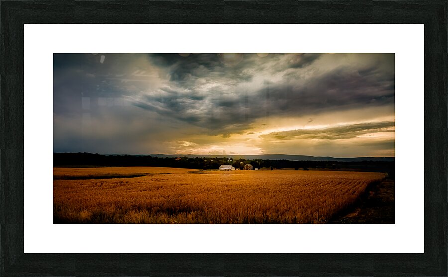 Farmland Sunset  Framed Print Print
