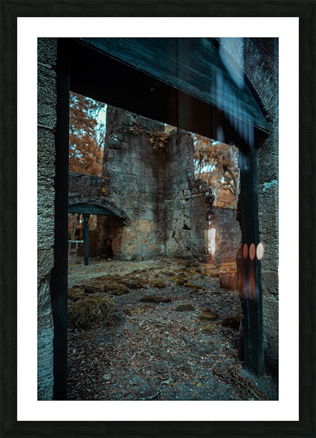 Doorway to Ruins: Bulow Plantation Picture Frame print
