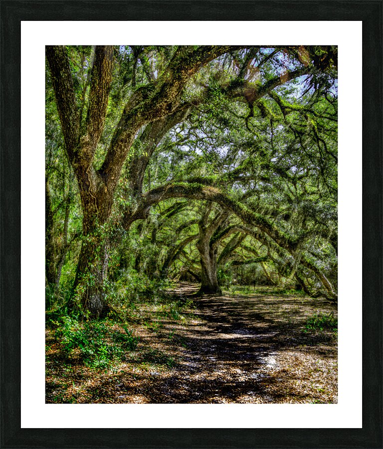 Peaceful Trail Picture Frame print