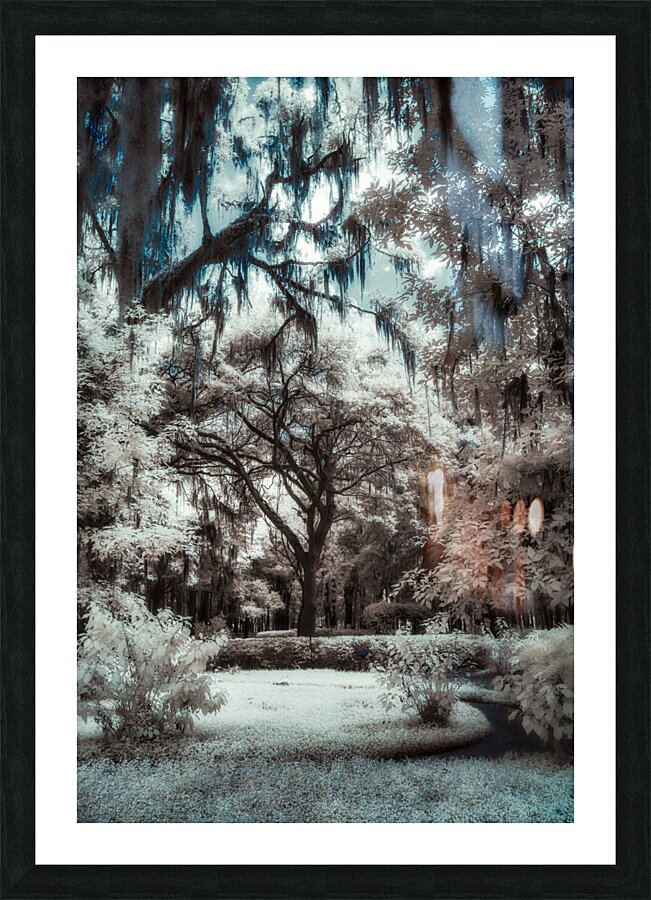 Otherworldly Picture Frame print