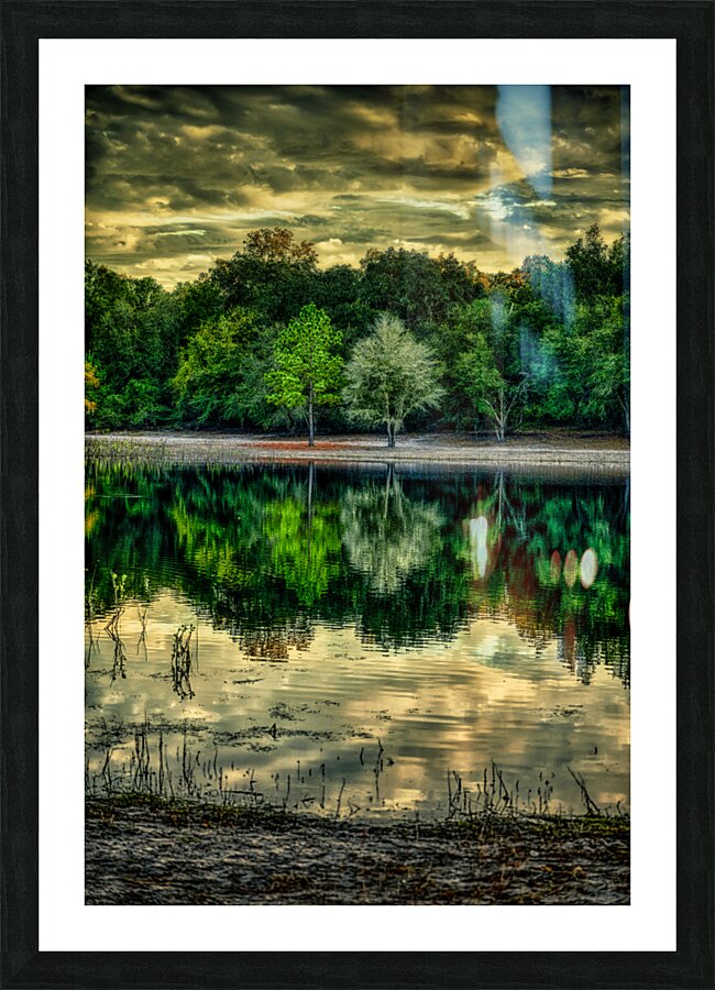 Florida Dreamscapes: Indian Lake State Forest Impression et Cadre photo