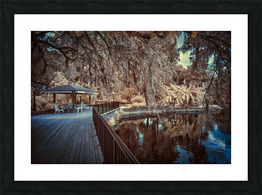 IR Boardwalk Picture Frame print